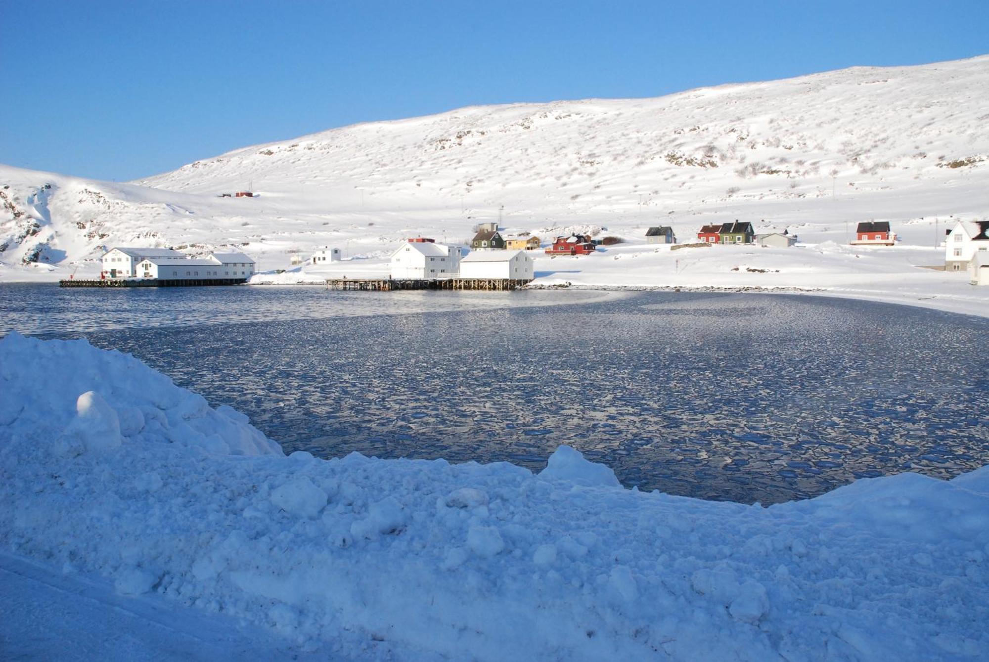 Kongsfjord Holiday Home Ngoại thất bức ảnh