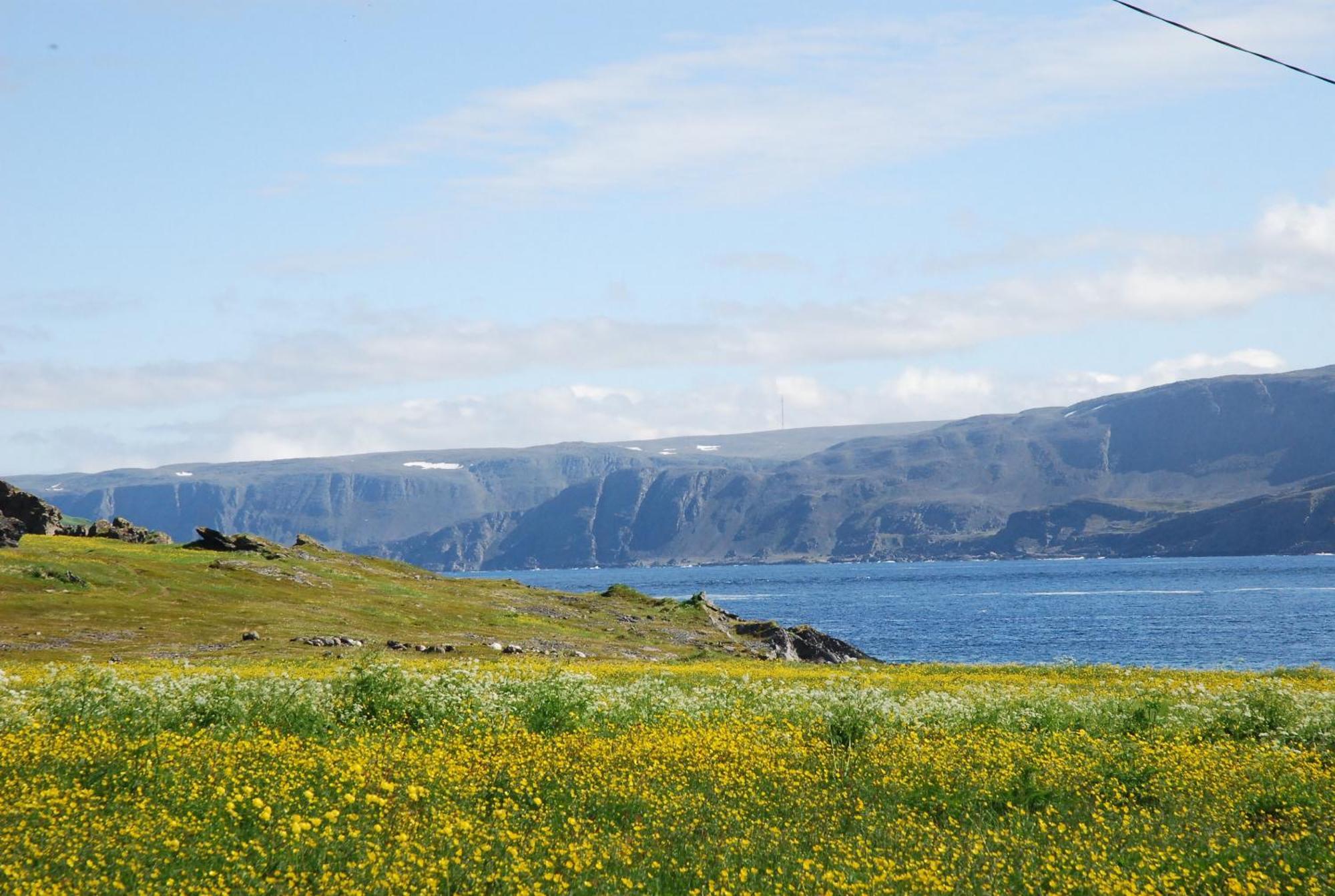 Kongsfjord Holiday Home Ngoại thất bức ảnh